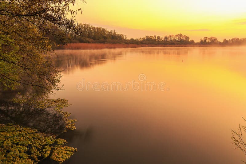 Serene Sunrise at the Lake stock photo. Image of landscape - 55291668