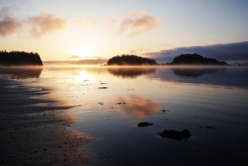 Serene sunset beach in golden hour ai image stock illustratie