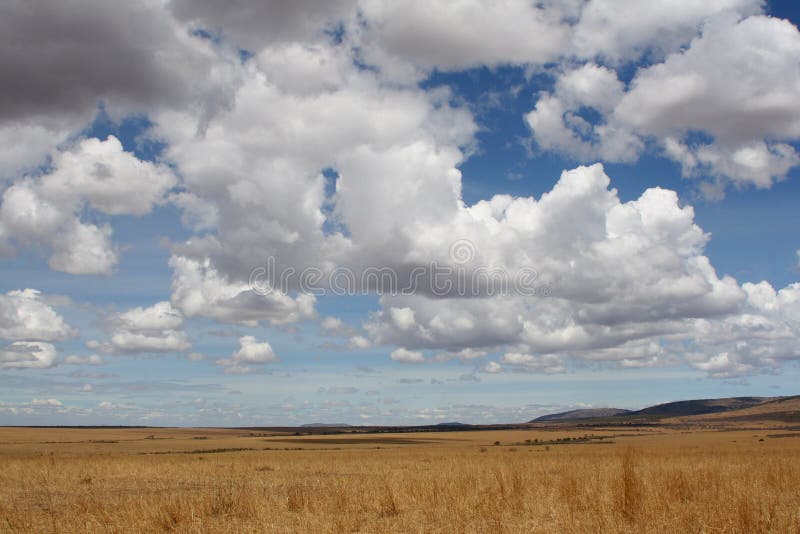 Serengeti Plains