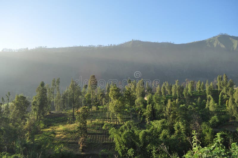 Serenità di mattina in montagna di Bromo fotografia stock libera da diritti Serenità di mattina in montagna di Bromo fotografia stock libera da diritti
