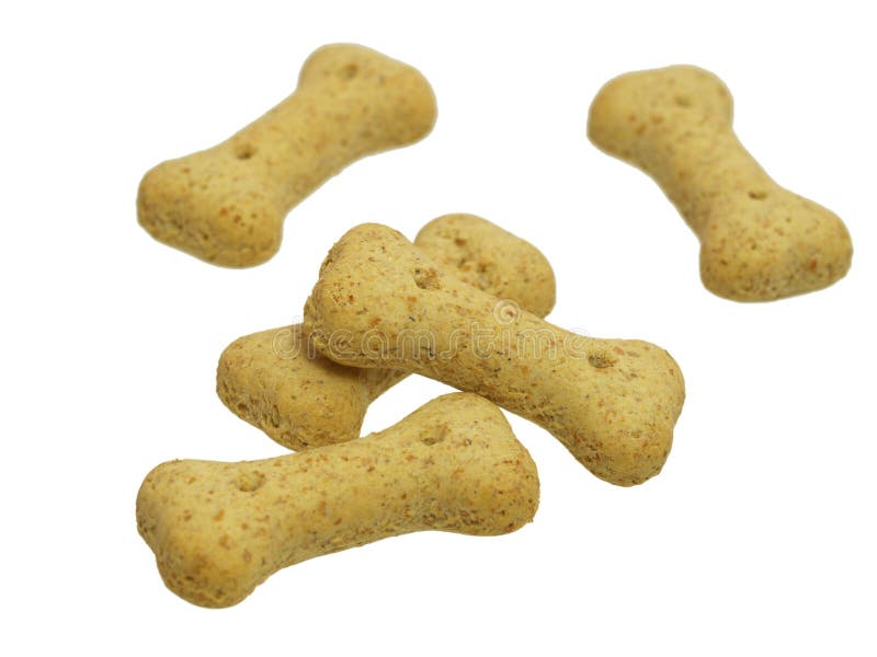 Serie Del Alimento De Perro Imagen de archivo Imagen de comidas