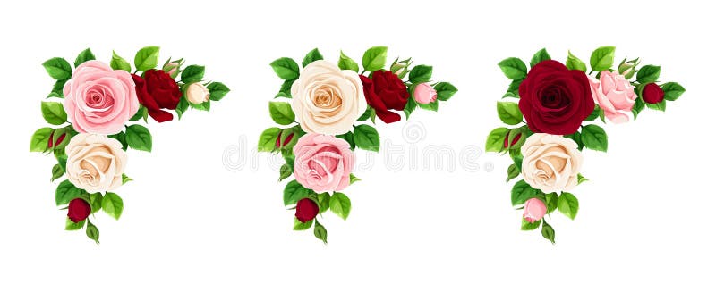 Serie di angoli rosa di rosa e di rose bianche. illustrazione vettoriale. illustrazione di stock