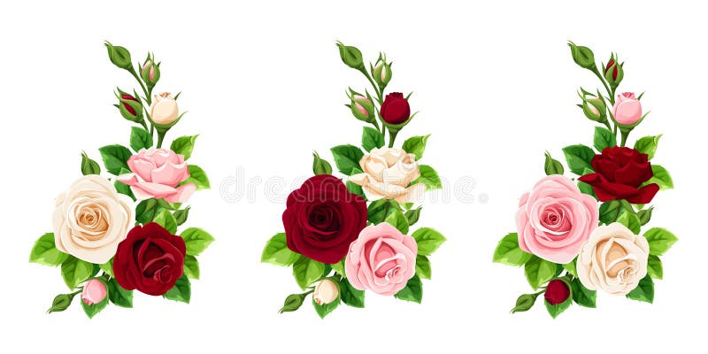 Serie di angoli rosa di rosa e di rose bianche. illustrazione vettoriale.