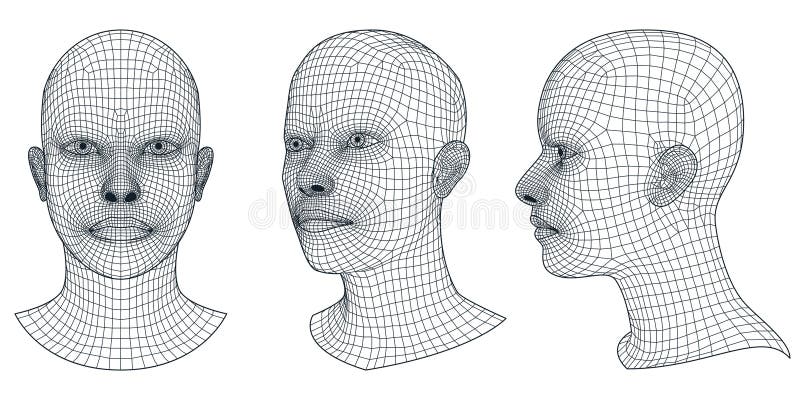 Serie di testine umane wireframe 3d vettoriali. profilo geometrico di maglia uomo o donna anteriore e illustrazione isometrica illustrazione vettoriale