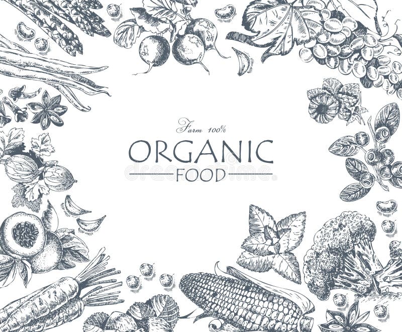 Serie - fruta, verduras y especias del vector Mercado de la granja Productos naturales Orgánico stock de ilustración Serie - fruta, verduras y especias del vector Mercado de la granja Productos naturales Orgánico stock de ilustración