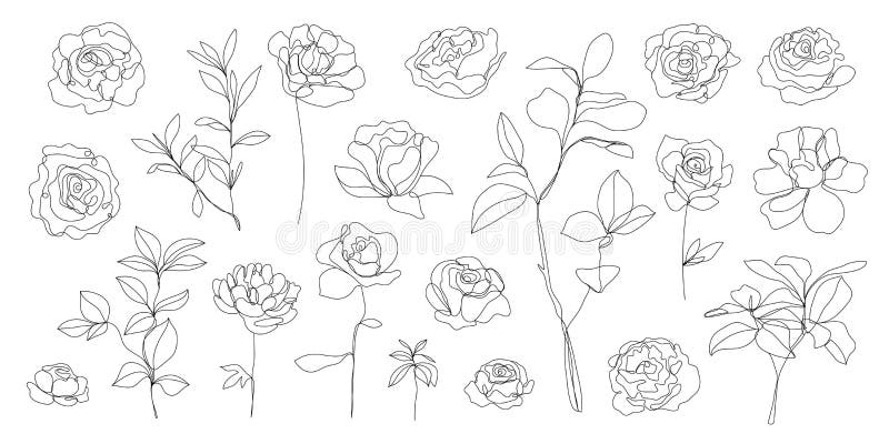 Serie vettoriale di foglie di fiori di linea continua monomotore. elementi floreali dell'arte. utilizzo di loghi per stampe di mag illustrazione vettoriale