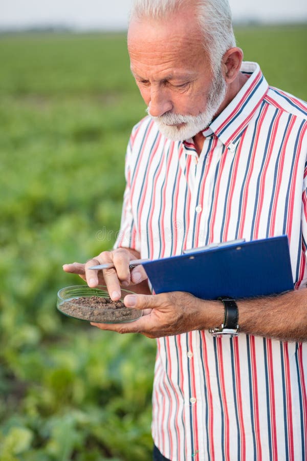 Senior agronomist or farmer examining soil samples in a field stock photos Senior agronomist or farmer examining soil samples in a field stock photos