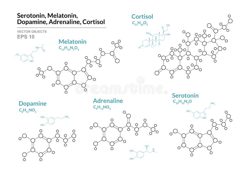 Serotonin, Melatonin,  Dopamine, Adrenaline, Cortisol. Hormones. Structural Chemical Formula and Molecule Model. Line Design. Vector Illustration. Serotonin, Melatonin,  Dopamine, Adrenaline, Cortisol. Hormones. Structural Chemical Formula and Molecule Model. Line Design. Vector Illustration