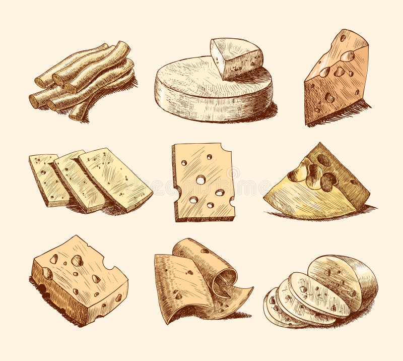 Serowa nakreślenie kolekcja ilustracji Serowa nakreślenie kolekcja ilustracji