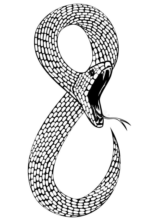 Cobra Da Serpente 3D Isolada Em Um Branco Ilustração Stock - Ilustração de  perigo, levantado: 9571680