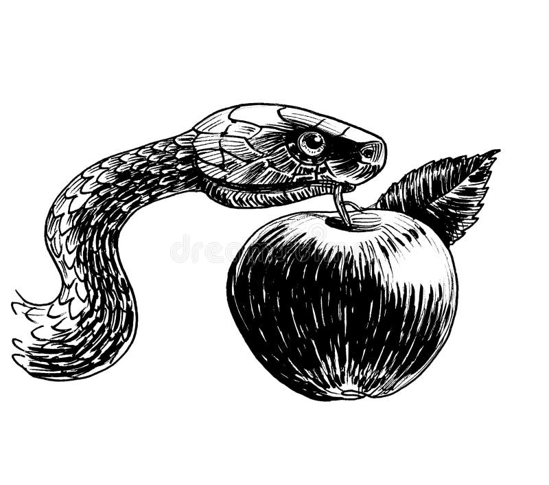 Cobra com maçã e mão. desenho de tinta preto e branco