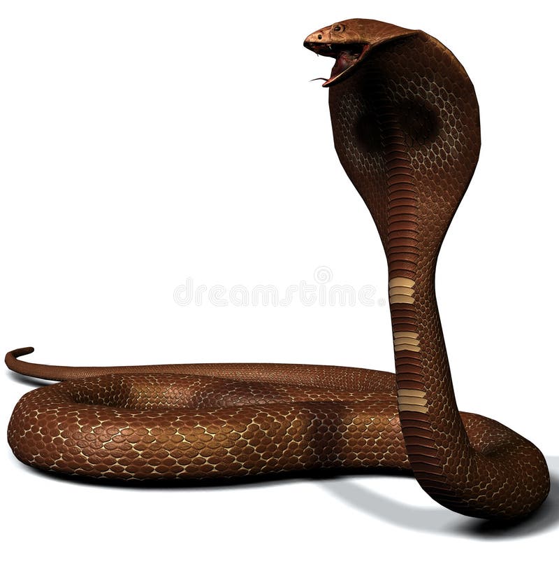 Cobra Da Serpente 3D Isolada Em Um Branco Ilustração Stock