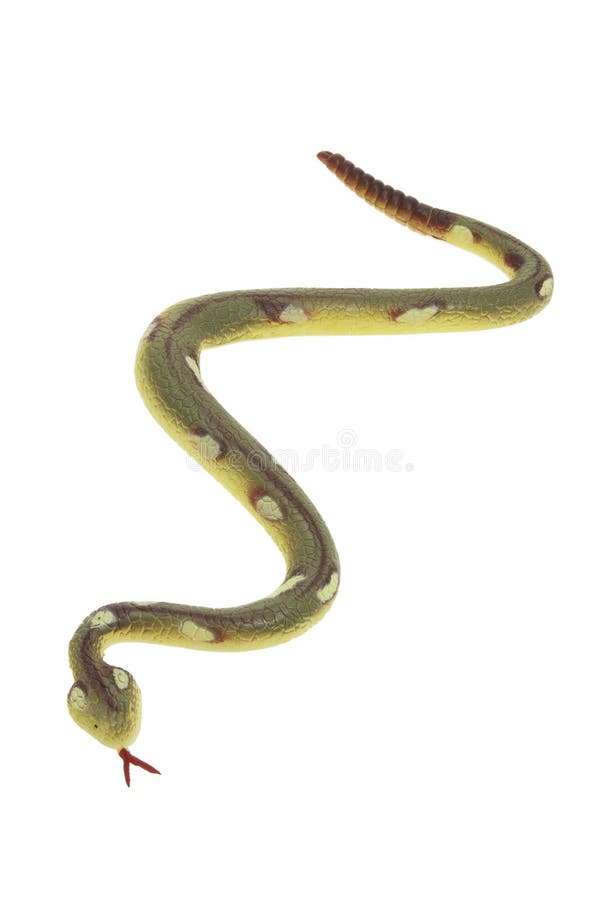 Serpente di gomma fotografie stock