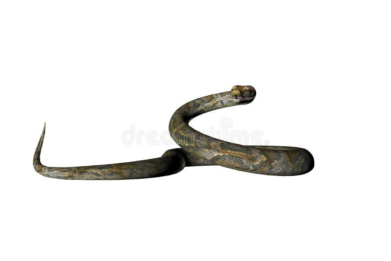 Cobra Da Serpente 3D Isolada Em Um Branco Ilustração Stock