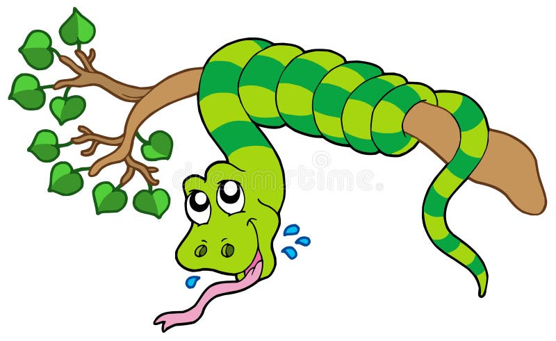 ilustração dos desenhos animados uma cobra relaxando em uma árvore grande e  alta para ver sua presa de cima 9318301 Vetor no Vecteezy