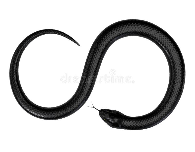 Serpente nero