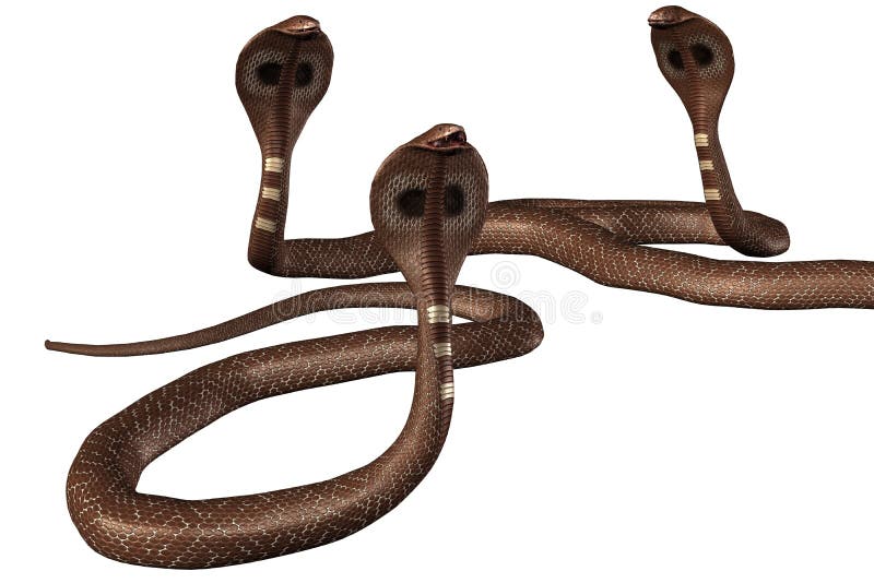 Cobra Da Serpente 3D Isolada Em Um Branco Ilustração Stock