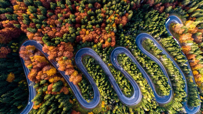 Serpentine details - aerial view of winding forest road in the mountains. Colourful landscape with rural road, trees with yellow l