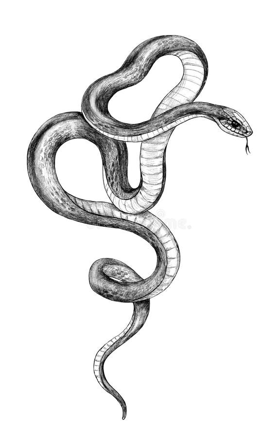 Serpiente monocromática exhausta de la mano