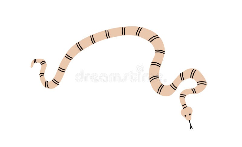 Serpiente rayada con gateo en la lengua. animal torcido. cuerpo curvado curvado de la vista superior del reptil. vector plano stock de ilustración