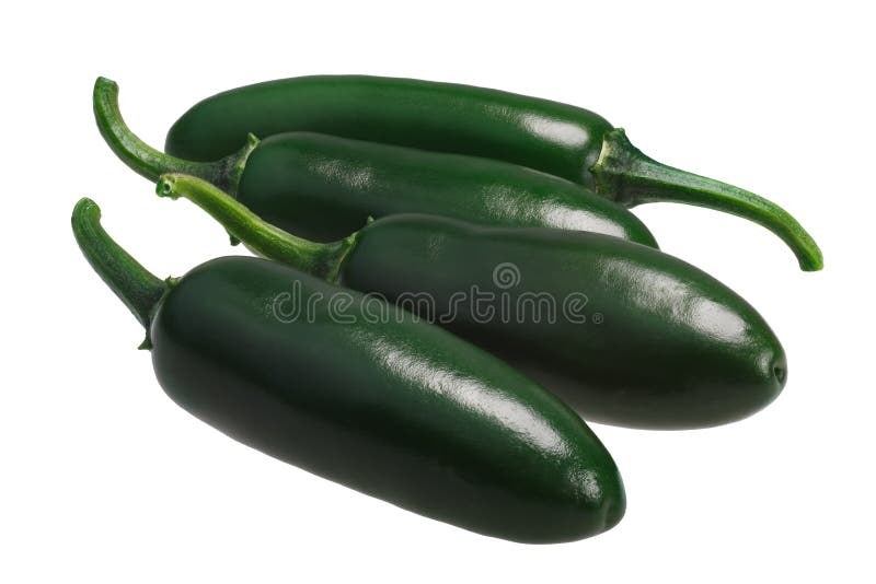 Serrano Hot Chile Peppers, Paths Stock Photo Image of path, chile