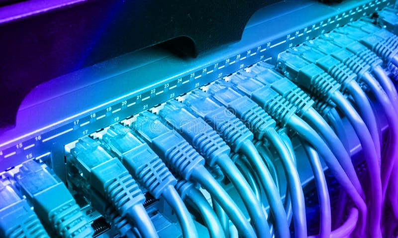 Server rack with blue internet patch cord cables royalty free stock photo