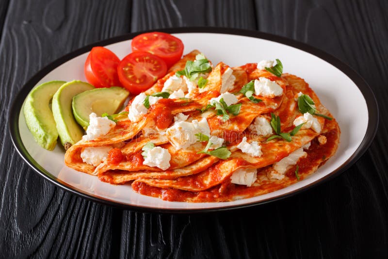 Serving Mexican Entomatadas with cottage cheese, tomato sauce, g