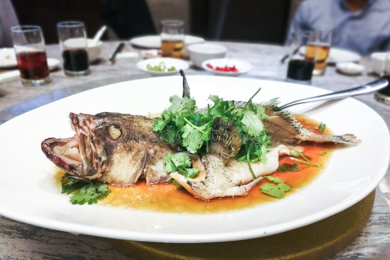 Serving of steamed grouper fish Chinese style during festive celebration royalty free stock images Serving of steamed grouper fish Chinese style during festive celebration royalty free stock images