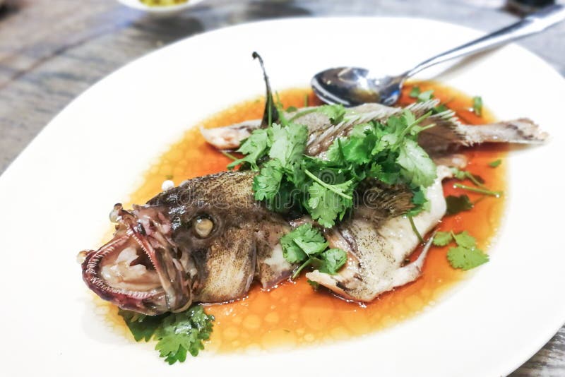 Servizio dello stile cinese cotto a vapore del pesce della cernia durante il cel festivo immagine stock libera da diritti Servizio dello stile cinese cotto a vapore del pesce della cernia durante il cel festivo immagine stock libera da diritti
