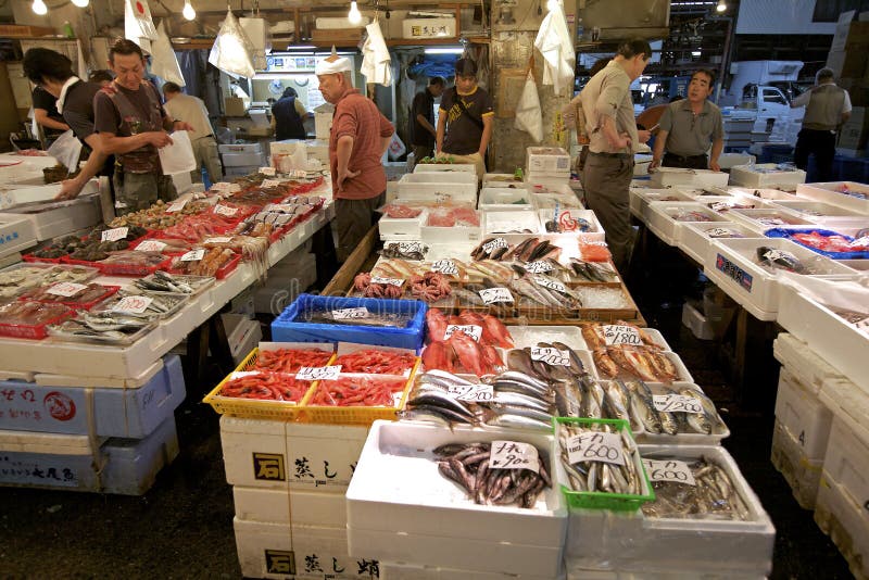 Servizio di pesci dei frutti di mare di Tsukiji di Tokyo fotografia stock libera da diritti Servizio di pesci dei frutti di mare di Tsukiji di Tokyo fotografia stock libera da diritti