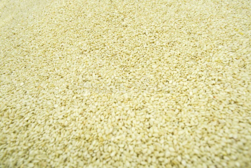 Sesame seeds stock image. Image of bowl, dried, organic 40788535