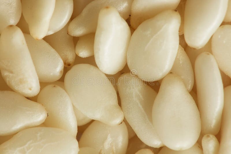 Sesame Seeds Closeup Details Background Stock Photo Image of