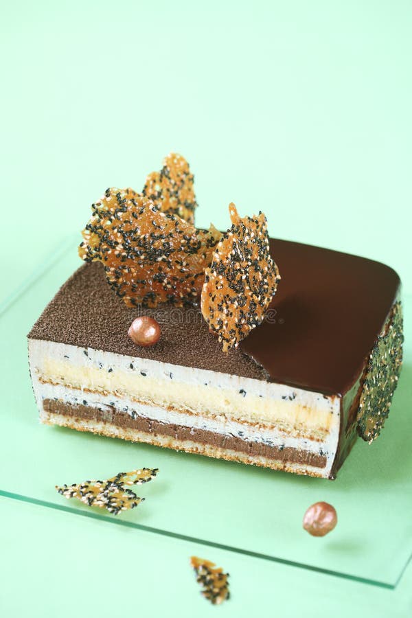 Sesame Square Entremet Cake Stock Image - Image of chocolate, dessert ...