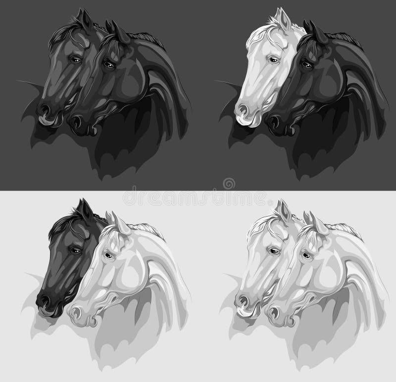 Set of 4 monochrome horses illustrations