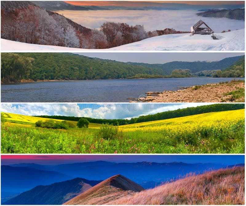 Set of the 4 Seasons Landscape Stock Image Image of bright, natural