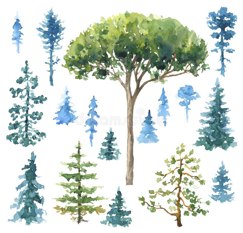 Set akwareli Conifers royalty ilustracja Set akwareli Conifers royalty ilustracja