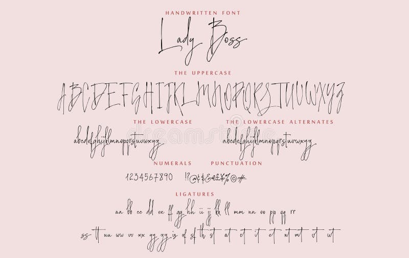Set alfabetico caratteri di script scritti a mano Vettore Lady Boss
