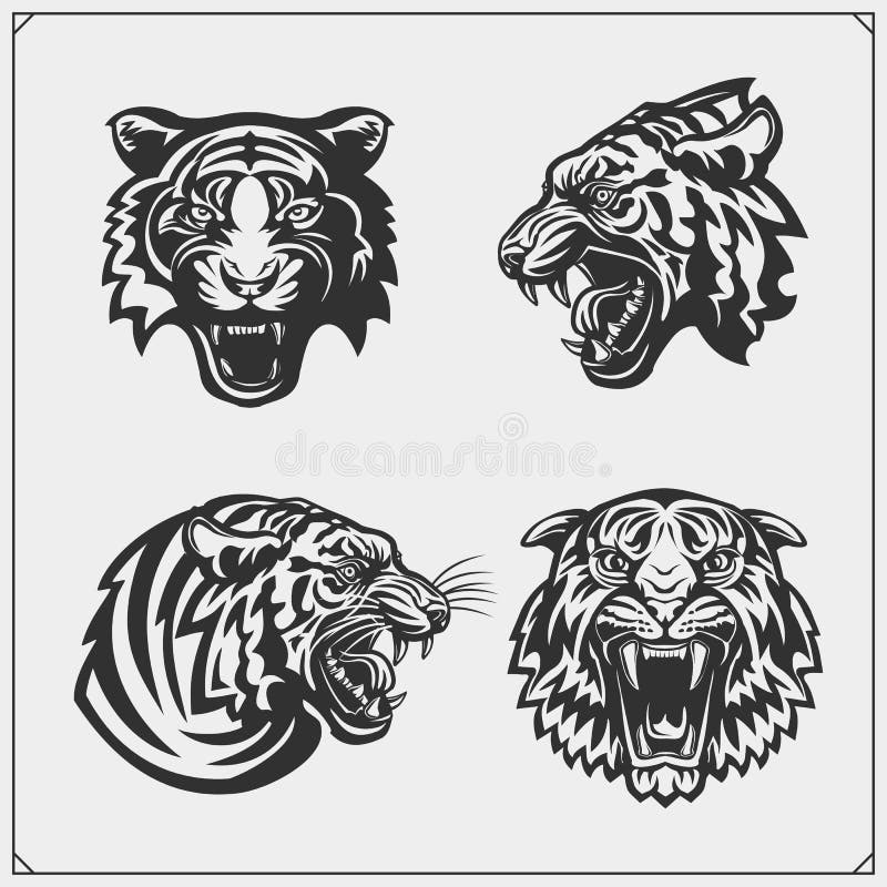 DAREDEVEIL ANGRY TIGER for Men Women Waterproof Hand Temporary Body Tattoo   Price in India Buy DAREDEVEIL ANGRY TIGER for Men Women Waterproof Hand  Temporary Body Tattoo Online In India Reviews Ratings