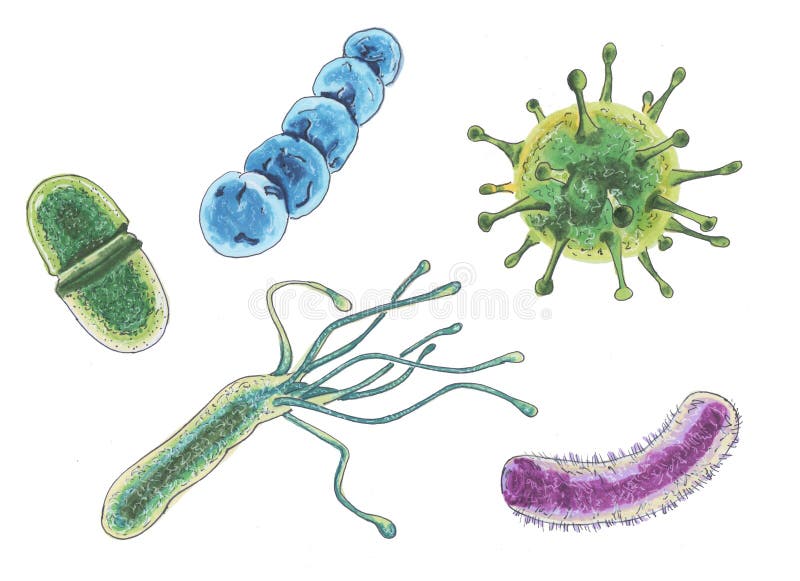 Set of atoms and molecules, viruses, marker style. stock illustration