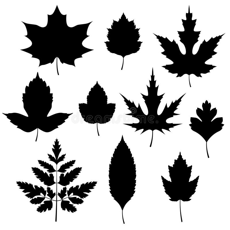Set of Autumn Leaves Silhouettes. Stock Vector - Illustration of forest ...
