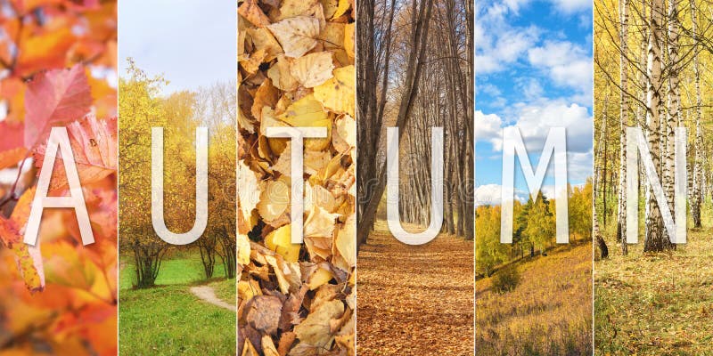 Set of Autumn Vertical Scenery with Text Caption stock photos