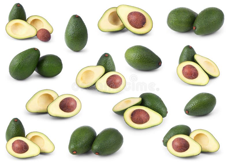 Set of avocados on white stock photo. Image of group 21861294