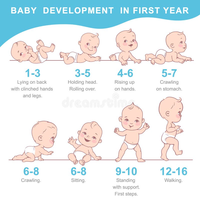 1 year baby development