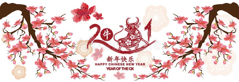 Set Banner Happy new year 2021 greetings card and chiński new year of the Ox, Cherry blossom tło Chińskie tłumaczenie Happy ilustracji