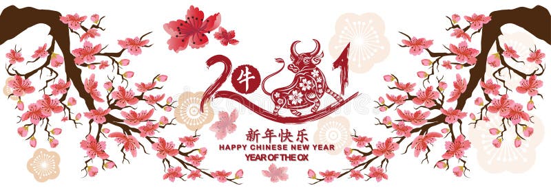 Set Banner Happy new year 2021 tarjeta de saludo y año nuevo chino del Ox, fondo de la floración del cerezo Traducción china Feli