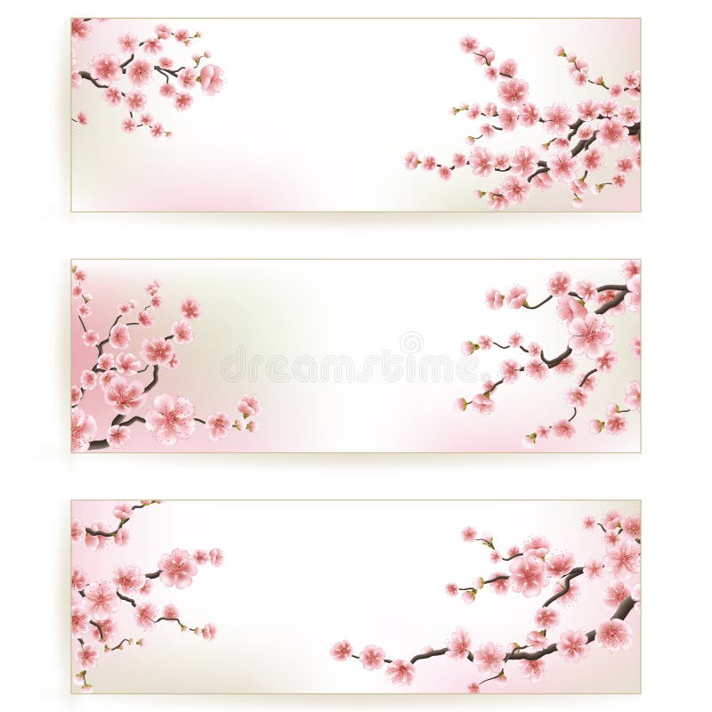 Spring banners - sakura stock vector. Illustration of evening - 13928453