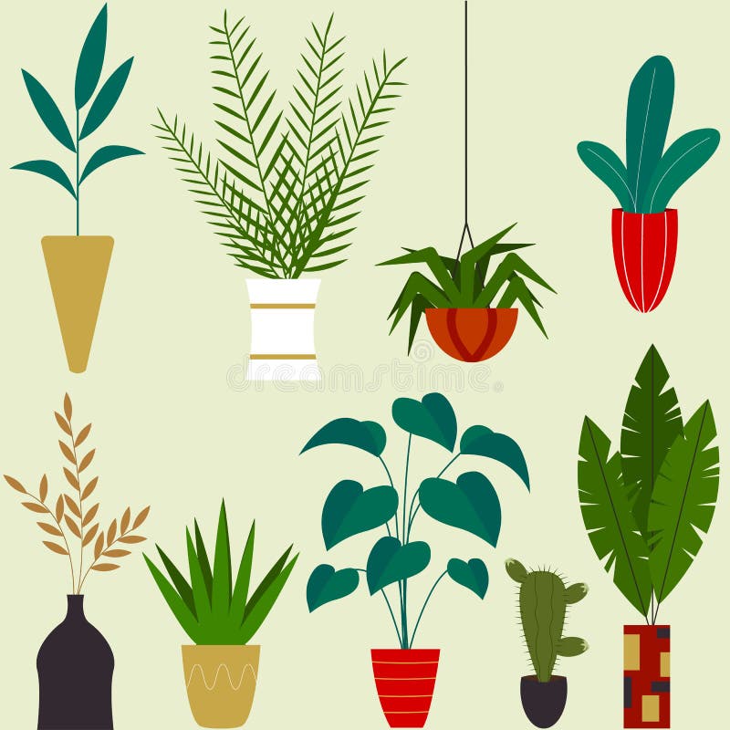 Apartment Indoor Plants Stock Illustrations 1 832 Apartment