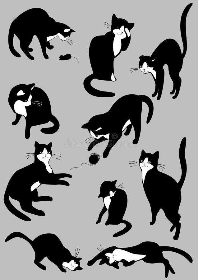 Set of black cats