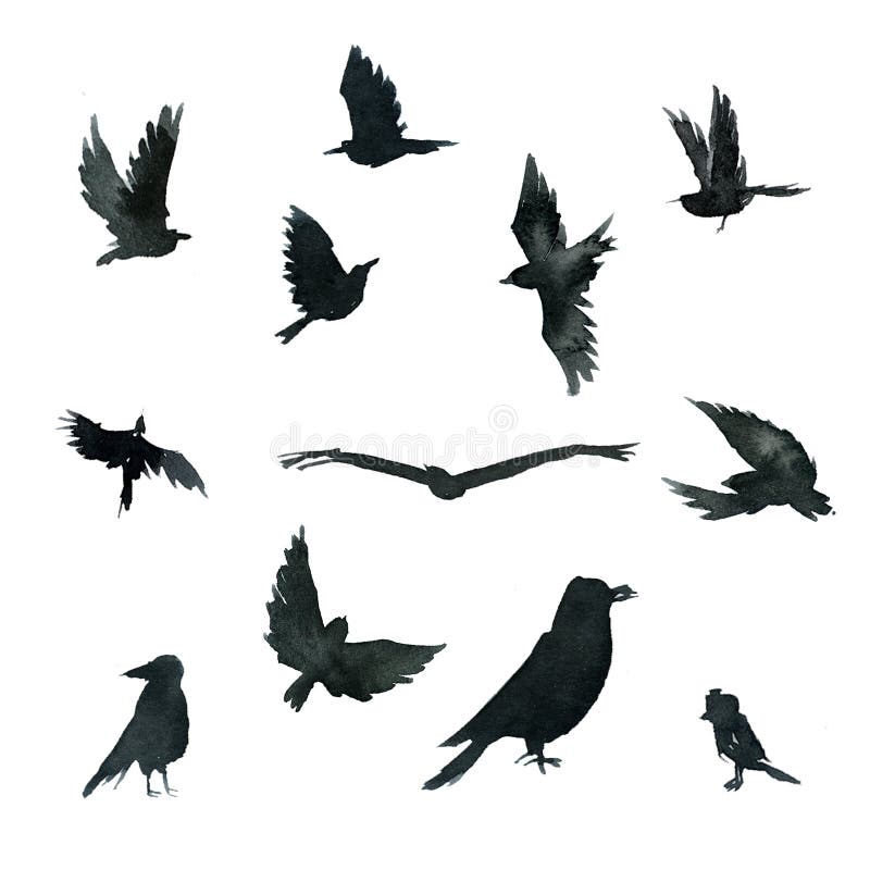 Set of black crow birds in various poses stock illustration