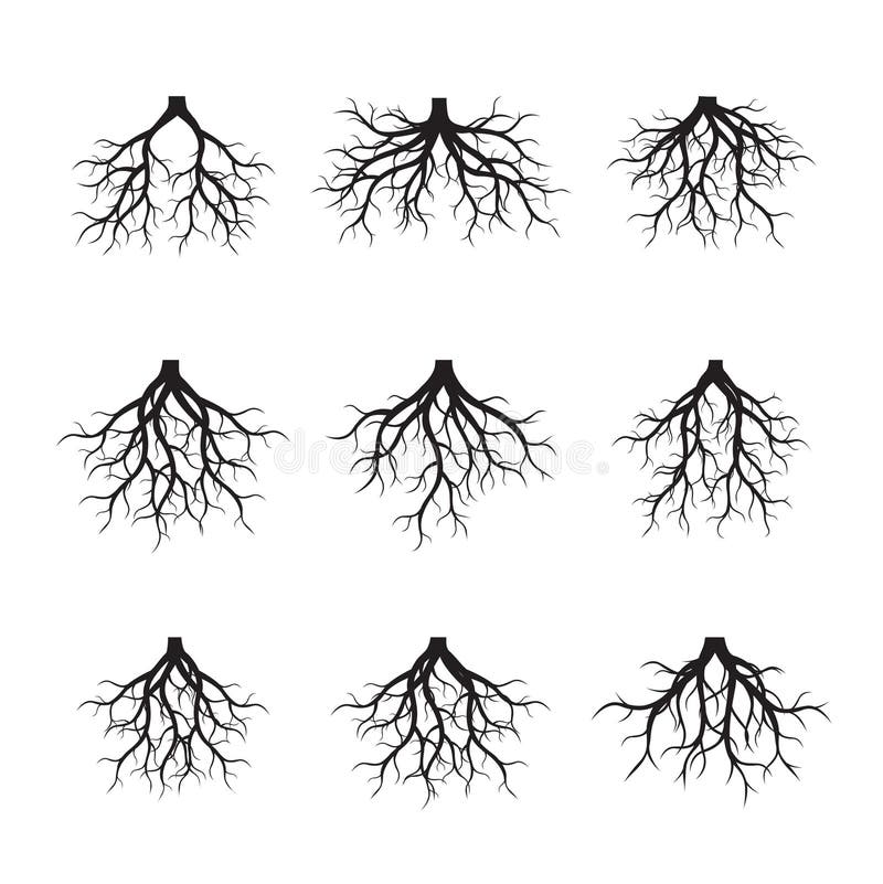 Root element. Дерево с корнями на черном фоне.